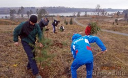 Высадка деревьев в Демино