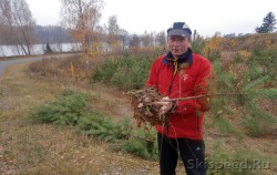 Высадка деревьев в Демино