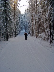 Лыжная трасса в Ухте