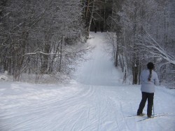 Лыжня в Белкино, выезд к Спутнику