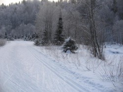 Лыжня на берегу реки Талица