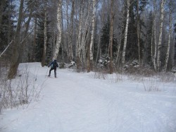 Лыжня в Белкино Первый подьем в березках