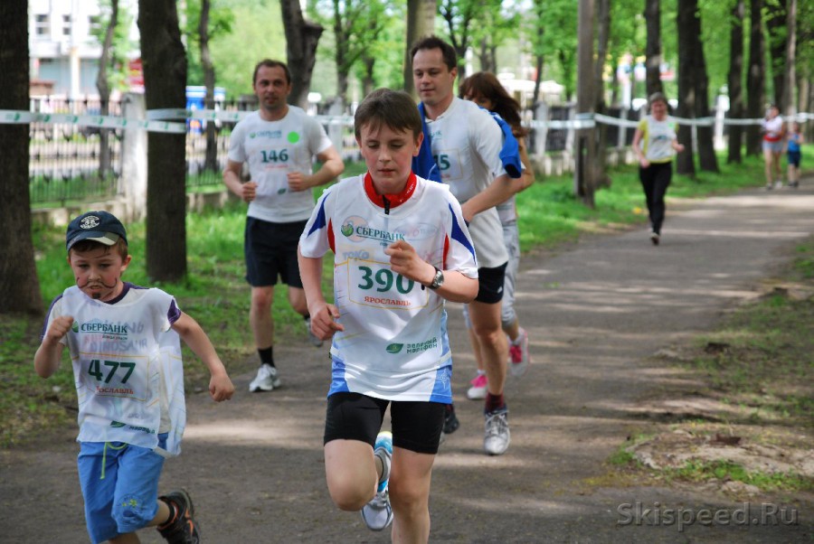 Фото забега Зелёного марафона 2013 в г. Ярославле