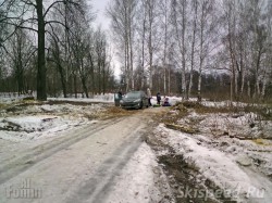 Парк отдыха Павловска роща в Брагино. Фото