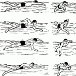 Схематический рисунок - Обучение плаванию кролем