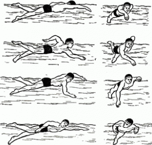 Схематический рисунок - Обучение плаванию кролем