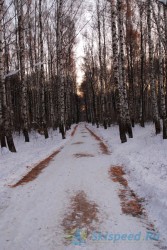 Лыжная трасса в Березовой роще 2014. Фото