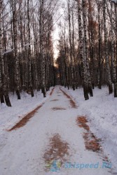 А в Павловской роще — лето!