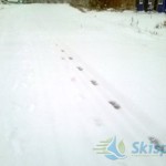 Фотография лыжной трассы в Демино 2014