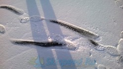 Фото первого снега в Демино, Рыбинск 2014