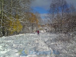 Фото с тренировки на лыжах в Норском 18.10.2014