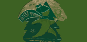 Лого - Зеленоградский зимний БИМ-марафон