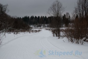Фото - Лыжная дистанция в Гузыцыно, Любимский р-н