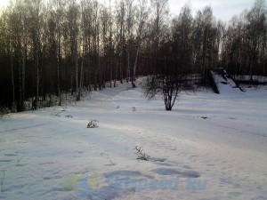 Фото - лыжная трасса в марте 2015. Подолино, Ярославский район