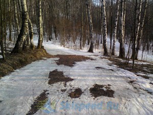 Фото - лыжная трасса в марте 2015. Подолино, Ярославский район