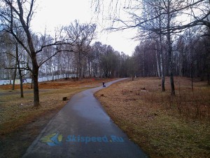 Тренировки в березовой роще (Брагино) - фото