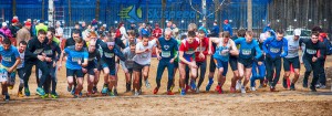 Фото Чемпионата Ярославской области по кроссу 2015