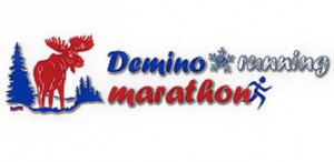 Логотип Деминского бегового полумарафона 2015