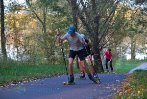 Фото - Осенние пробежки и тренировки 2015. Березовая роща