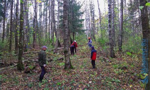 Фото - Субботник на кругу в михайловском лесу, октябрь 2015