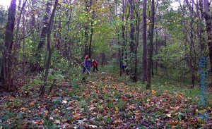 Фото - Субботник на кругу в михайловском лесу, октябрь 2015