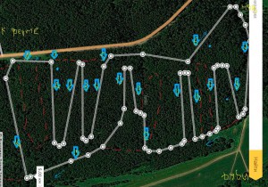 Фото - Схема трассы в михайловском лесу Ярославского района, для тренировок