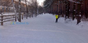 Фото - Лыжная трасса в Яковлевском бору Ярославля