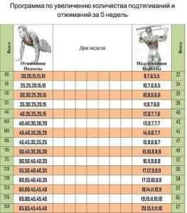 Фото - Программа по увеличению количество подтягиваний и отжиманий