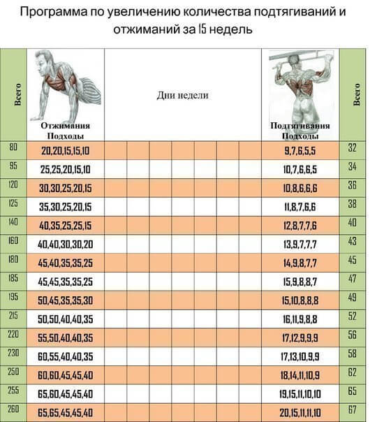 Программа по увеличению количество подтягиваний и отжиманий - Фото таблицы за 15 недель