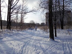 Фото - Тренировки в ноябре 2016, Павловская роща, Ярославль