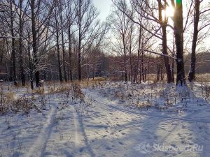 Фото - Тренировки в ноябре 2016, Павловская роща, Ярославль