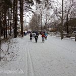 Фото - Лыжная трасса в Яковлевском бору (Ярославль)