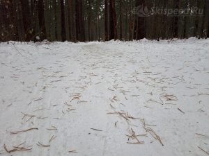 Фото - Лыжная трасса в Яковлевском бору (Ярославль)