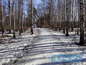 Фото парка отдыха - Тренировки весной 2017 в Берёзовой роще г. Ярославля (Брагино)