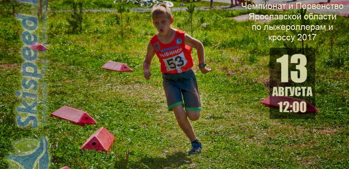 Фото спортсмена на соревновании - Чемпионат Ярославской области по кроссу 2016