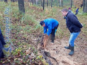 Фото природы - Субботник на тренировочной трассе в пос. Норское (октябрь 2017)