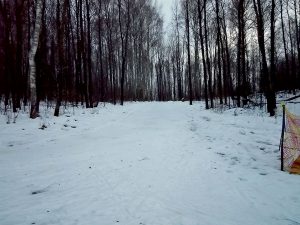 Фото - Подолино. Лыжная трасса в Ярославском районе