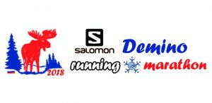 Фото лого соревнования - Демиский беговой полумарафон 2018
