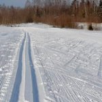 Фото. Лыжная трасса в Демино. Деминский марафон 2020