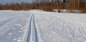 Фото. Лыжная трасса в Демино. Деминский марафон 2020