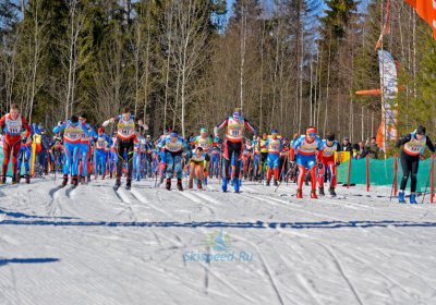 Старт лыжной гонки в Мильцево (Иваново). Фото