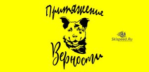 Благотворительный забег Притяжение верности 2022 в Ярославле. Афиша. Логотип