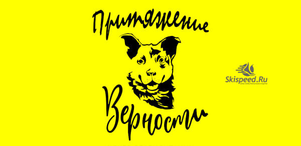 Благотворительный забег Притяжение верности 2022 в Ярославле. Афиша. Логотип