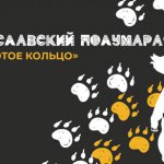 Ярославский полумарафон 2022 - Золотое кольцо. Афиша забега
