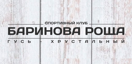Баринова роща - логотип спортивного клуба Гусь-Хрустального