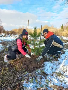 Самойлов И. и Тарусова Н. Посадка сосны в парке , г. Рыбинск