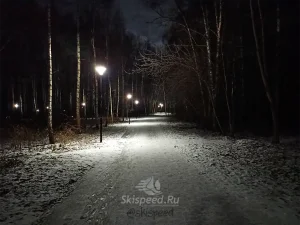 Павловский парк (Ярославль) - освещенка для любителей бега