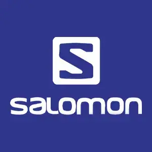 Логотип Salomon 2025 на фоне василькового цвета