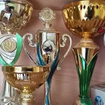 Кубки. Награды за спортивные соревнования