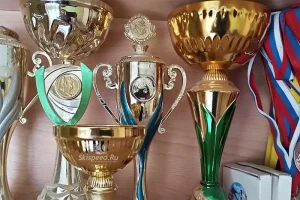 Кубки. Награды за спортивные соревнования